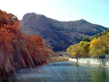 新澳天天开奖资料大全旅游团，煮酒